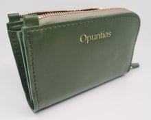 Charger l'image dans la galerie, OPUNTIAS - SALTILLO - VERT